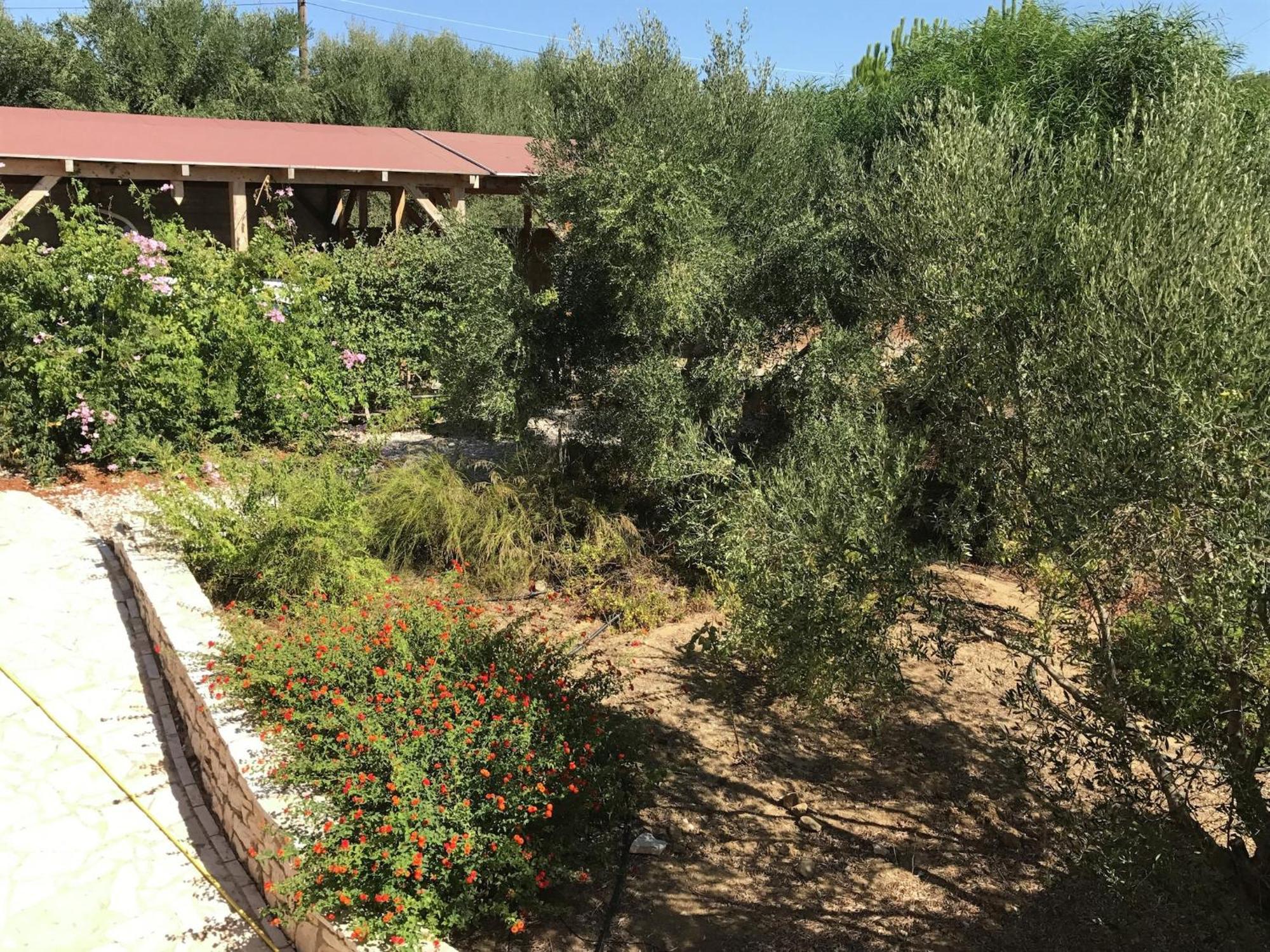 Luxurious Villa In Peloponnese With Swimming Pool Kamária Buitenkant foto